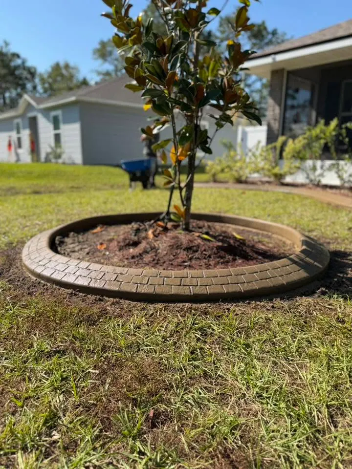 Tree ring bed with curbing in a green lawn