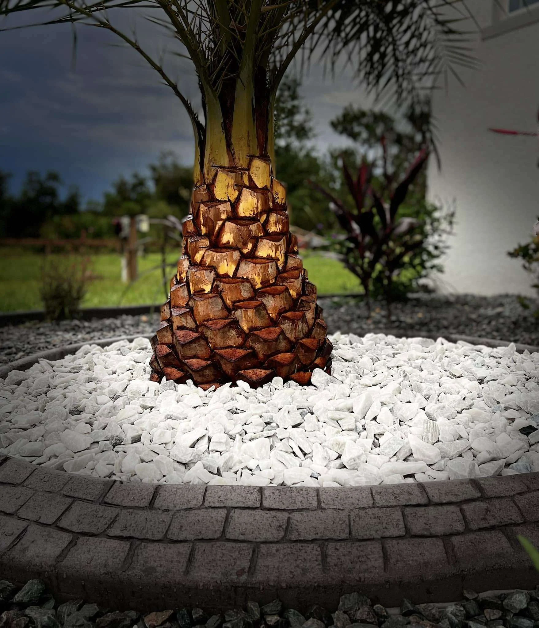 Uplit palm trunk in a white marble rock ring with stamped curbing under an evening sky